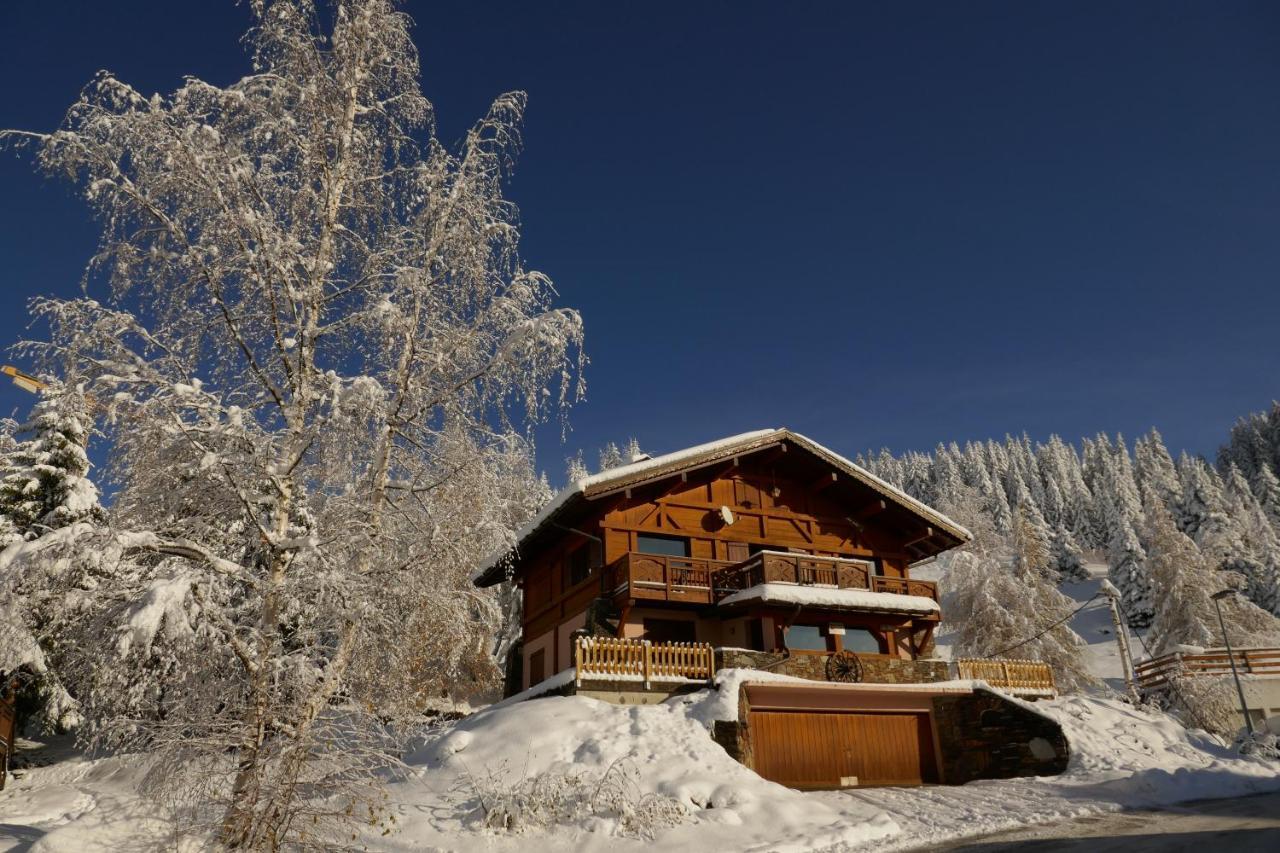 Les Saisies côté Bisanne appartement dans chalet LE Népal Exterior foto