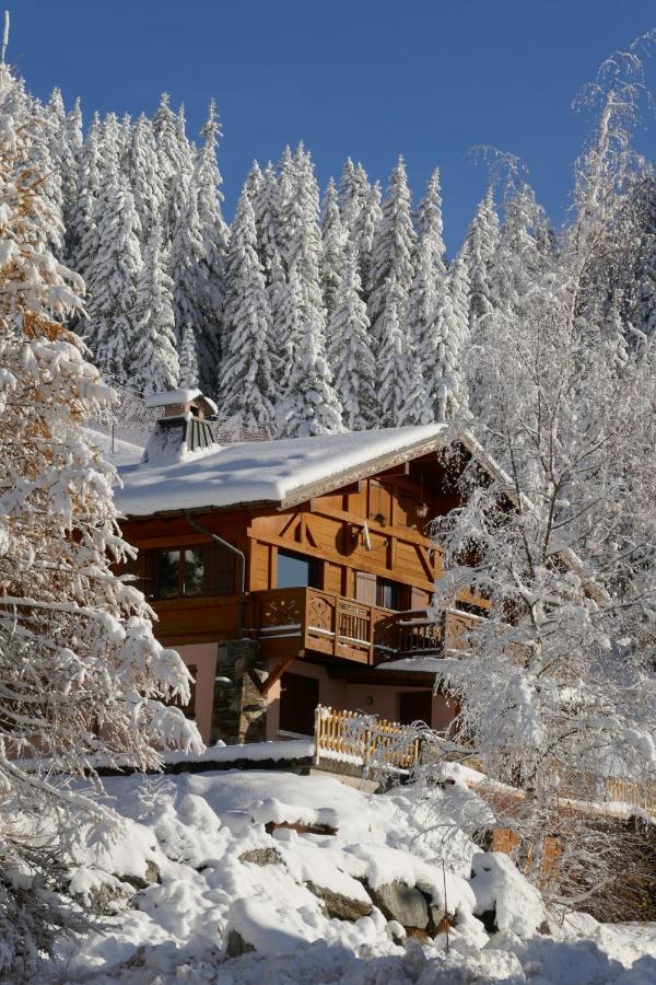Les Saisies côté Bisanne appartement dans chalet LE Népal Exterior foto